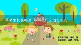 苹果生长在哪里 苹果在什么地方生长