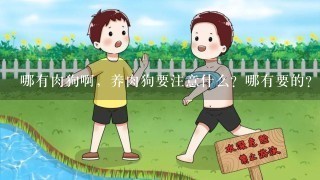 哪有肉狗啊，养肉狗要注意什么？哪有要的？