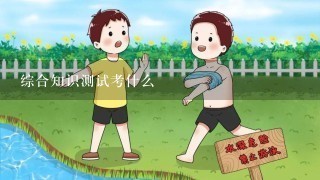 综合知识测试考什么