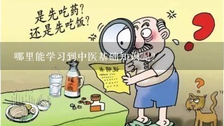 哪里能学习到中医基础知识呢？