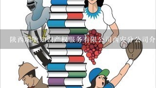 陕西瑞驰知识产权服务有限公司西安分公司介绍？