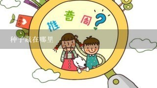 种子藏在哪里