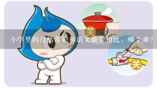 小学里的自然常识和语文数学相比，哪个难？