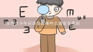 作为青少年应该掌握哪些交通安全常识