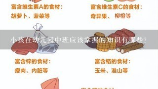 小孩在幼儿园中班应该掌握的知识有哪些？