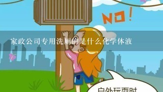 家政公司专用洗厕的是什么化学体液