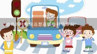 由鸟的飞翔你还想道哪些科学常识?