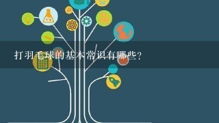 打羽毛球的基本常识有哪些？