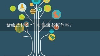 紫癜是什么？ 对健康有何危害?