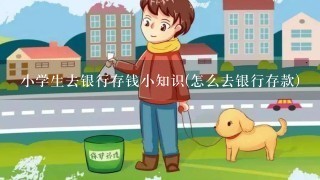 小学生去银行存钱小知识(怎么去银行存款)