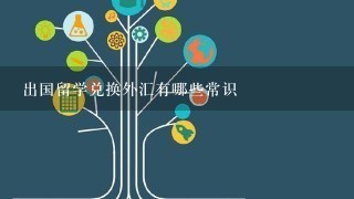 出国留学兑换外汇有哪些常识