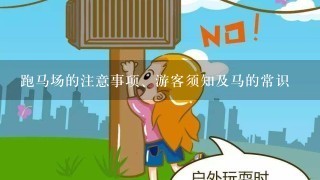 跑马场的注意事项、游客须知及马的常识