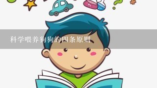 科学喂养狗狗的4条原则