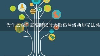 为什么我们需要睡眠时大脑仍然活动却无法感知外界刺激和思考？