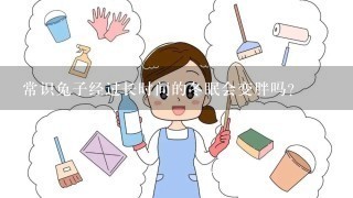 常识兔子经过长时间的冬眠会变胖吗